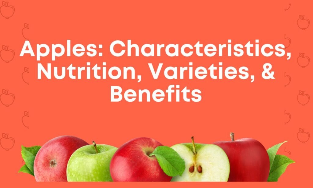 Apples: Characteristics, Nutrition, Varieties, & Benefits lifemate365.com