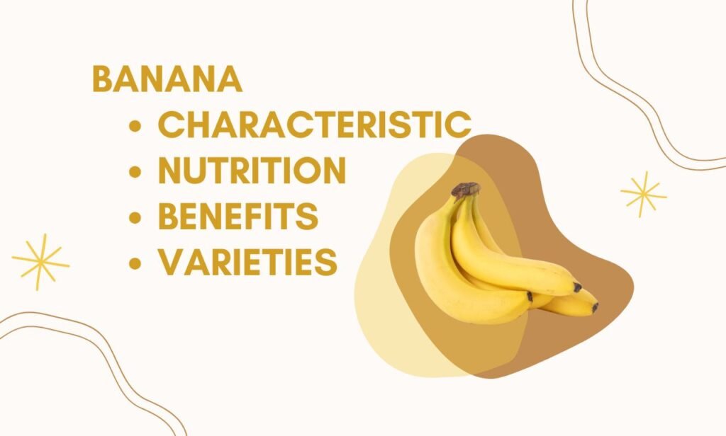 Banana: Characteristics, Nutrition, Benefits And Varieties