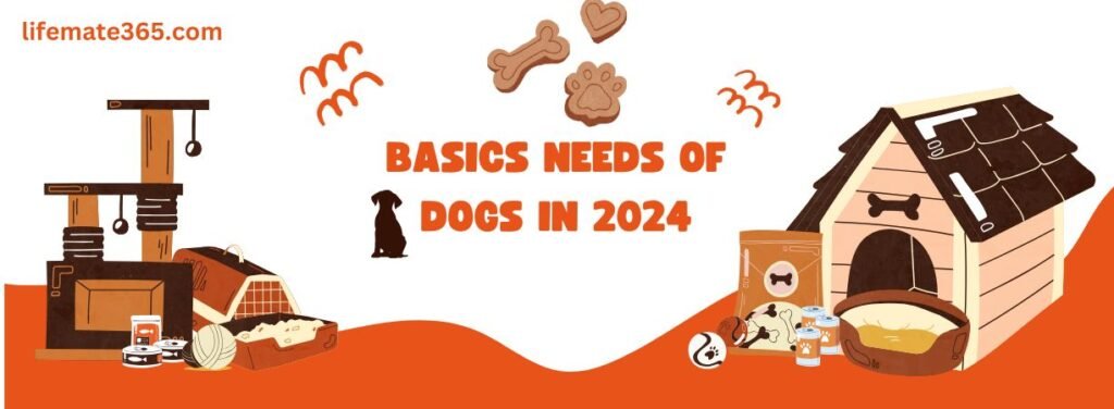 Basics Needs Of Dogs In 2024 lifemate365.com